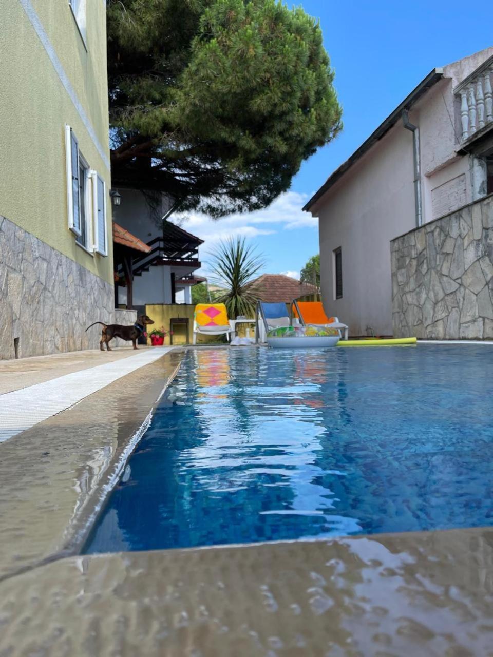 Apartments Villa-G Lustica Tivat Extérieur photo